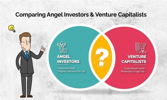 Investor venture investors capitalist funding consider grants investing entrepreneur